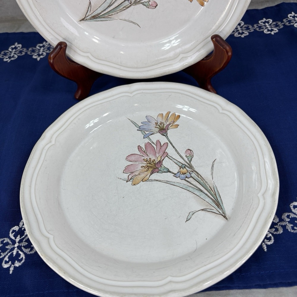 Vintage Noritake Springlike delicate pastel pink and blue Set of 2 Salad Plates